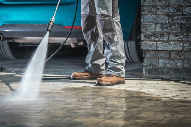 Best Roof Washing  in Buffalo, NY